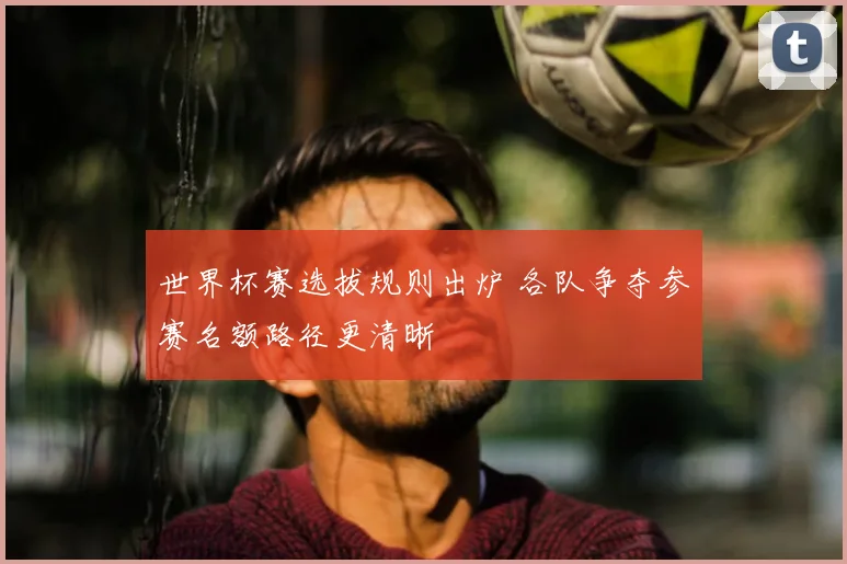 世界杯赛选拔规则出炉 各队争夺参赛名额路径更清晰